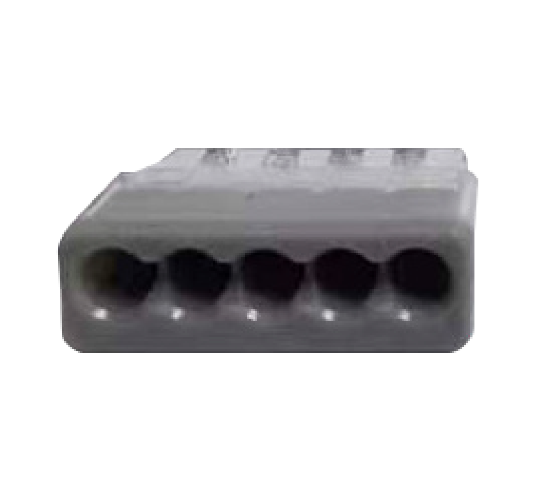PS2